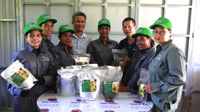 หว่านฝันเขียวขจีริมฝั่งแม่น้ำเซปอน