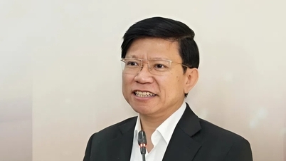 Multe sectoare sociale bune și semnificative trebuie să se „închidă” pentru că piața nu le folosește.