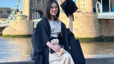 ครูชาวเวียดนามโดดเด่นในสถาบันการศึกษาอันดับ 1 ของโลก