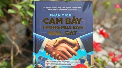 Cảnh báo cạm bẫy mua bán bất động sản từ góc nhìn chuyên gia