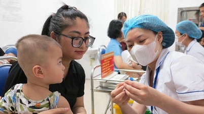 Công đoàn Y tế Việt Nam triển khai nhiều hoạt động chăm lo Tết Bính Ngọ 2026