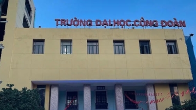 Triển khai tổng kiểm kê tài sản công đoàn từ ngày 1/1/2026