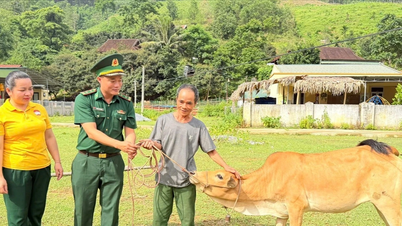 Asigurarea mijloacelor de trai, inspirarea voinței de a scăpa de sărăcie