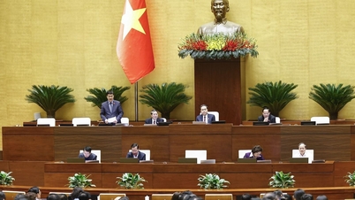 Einde van de 4e werkweek: De Nationale Assemblee besprak veel belangrijke onderwerpen en stemde voor het aannemen van de resolutie over het begrotingsplan.