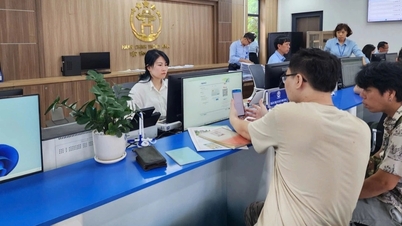 ការកាត់ផ្តាច់នីតិវិធីរដ្ឋបាលយ៉ាងខ្លាំងដែលធ្វើឱ្យអ្នកវិនិយោគស្ទាក់ស្ទើរ