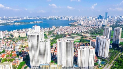 短期的にも長期的にも包括的な解決策が必要です。