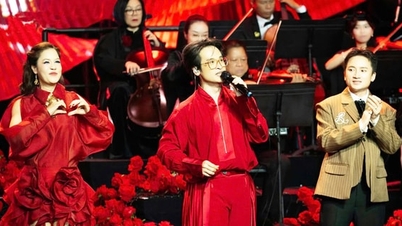 Organização de concertos no exterior: