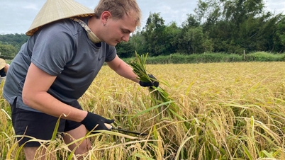Francuscy turyści rano niosą na ramionach ciężkie ładunki ryżu, a po południu pochylają się, by grabić małże na wyspie Quang Ninh.