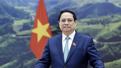 ایجاد انگیزه قوی برای ارتقای روابط بین ویتنام و کویت، الجزایر و آفریقای جنوبی