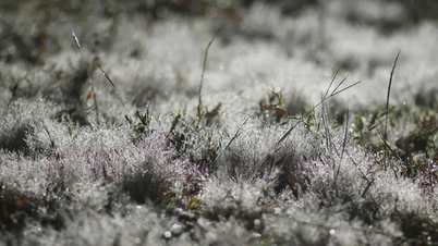 רגשותיו של המורה