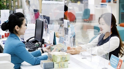 Centrul financiar internațional: Oportunitate pentru bănci de a primi fluxuri globale de capital verde