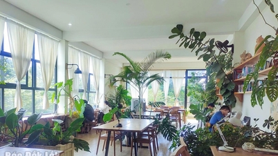 Viață nouă din colțuri liniștite de cafea