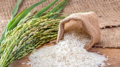 Harga beras hari ini 16 November: Beras segar meningkat sedikit, beras stabil