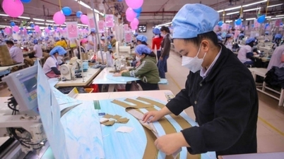 14ویں نیشنل پارٹی کانگریس کے مسودہ دستاویزات پر تبصرے: نئے دور میں محنت کش طبقے کے اہم کردار کو فروغ دینا