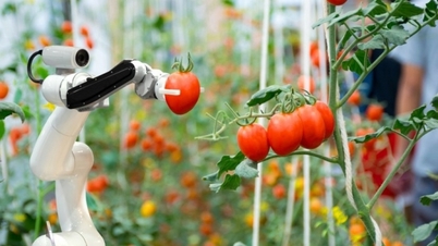 Vietnami származású szakértő tanácsokat ad Vietnamnak a sikeres innovációhoz