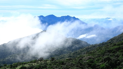 Elephant Mep의 "지붕"에 있는 자신을 보세요