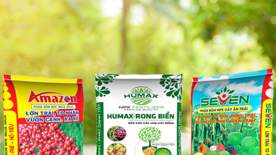 Gjødselpris 16. november: Markedet holder seg stabilt, DAP holder seg på 1,3 millioner VND