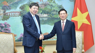 Δραστηριότητες των ηγετών του Κόμματος και του Κράτους στις 15 Νοεμβρίου