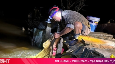 دریائے ہا ٹِن کے کنارے جلی ہوئی فلیٹوں پر ہلچل کا موسم