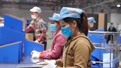 «فرار» از تله درآمد متوسط: کیفیت منابع انسانی کلید اصلی است!