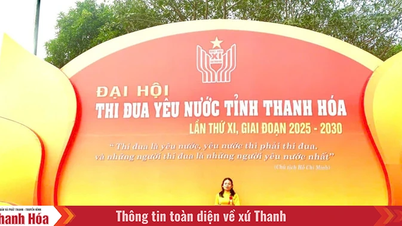 Az elkötelezettség és a lelkesedés szellemének ragyogása a "növekvő emberek" karrierje iránt