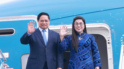 وزیر اعظم فام من چن کویت اور الجزائر کے سرکاری دوروں اور جنوبی افریقہ میں جی 20 سربراہی اجلاس میں شرکت کے لیے روانہ ہوئے۔