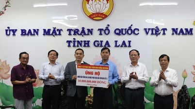 נוטיפוד תומכת במחוז ג'יה לאי ב-10 מיליארד וונד כדי להתגבר על השלכות סופה מספר 13.