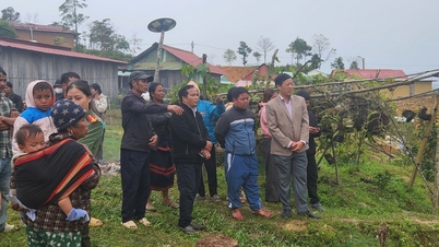 Venter på at tre savnede personer etter jordskredet i Da Nang skal komme tilbake