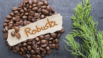 A Gia Lai kávé ára esett a legnagyobb mértékben az országban, 109 800 VND/kg-ra.