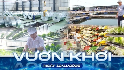 Offshore - ខែវិច្ឆិកា 12, 2025 | អ័ក្សតភ្ជាប់ថ្មីសម្រាប់ឧស្សាហកម្មគាំទ្រនៅក្នុងតំបន់សមុទ្រខាងកើត