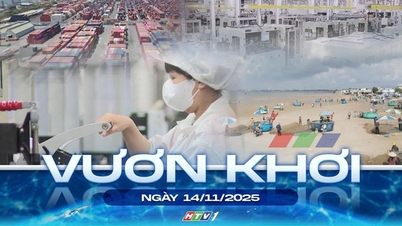 Offshore - 14 november 2025 | Ho Chi Minhstad bevordert de ontwikkeling van Ho Tram, het Binh Chau-bos en het CM-TV-havencluster