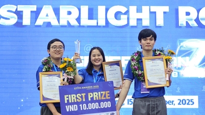 Star Awards 2025-finaler, Da Nang-klustret