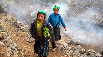 ঠান্ডা বাতাস তীব্র হচ্ছে, প্রদেশের উত্তরে উঁচু পাহাড়ি এলাকায় তাপমাত্রা ৬-৯° সেলসিয়াস