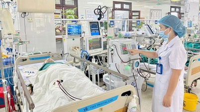 Tratamentul de urgență a salvat cu succes un pacient cu insuficiență multiplă de organe cauzată de o înțepătură de viespe.