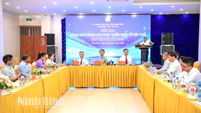 Forum for forbedring av kapasiteten for kollektiv økonomisk utvikling og kooperativer i 2025