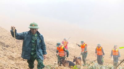 Militärregion 5: Dringende Suche nach Vermissten nach Erdrutsch