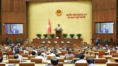 Semaine de travail 5, session 10, XVe Assemblée nationale