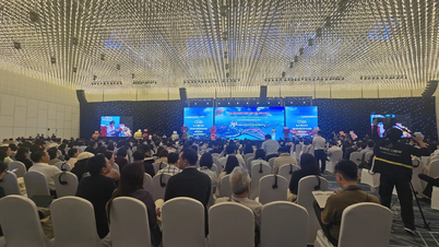 Oftalmologická konference: Implementace cíle „Vize 2030 – Právo na zrak“ pro veřejné zdraví