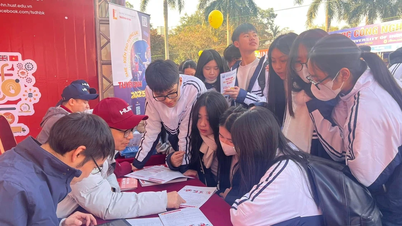 Selepas insiden percanggahan skor IELTS: Universiti Sains dan Teknologi Hanoi menyemak calon untuk kemasukan berdasarkan sijil