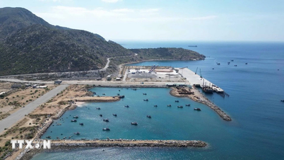 Promoting the strength of overseas Vietnamese, joining hands to build a prosperous country