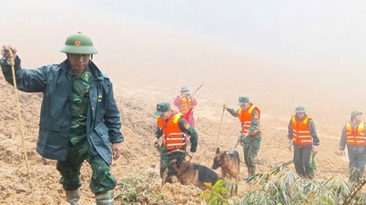Peningkatan pencarian 'anjing polisi' untuk korban tanah longsor di Da Nang