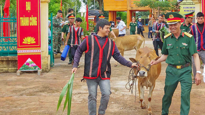 Försörjning för soldatmärket