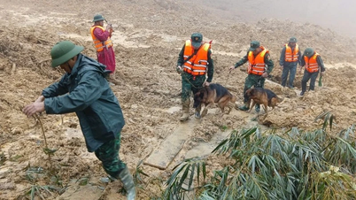 Ratusan perwira, tentara dan anjing pelacak memasuki lokasi kejadian untuk mencari korban yang diduga tertimbun tanah longsor di wilayah Hung Son.