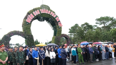 ឡាំវៀន វួដ-ដាឡាត់ ចាប់ផ្តើមចលនា ភ្លឺ-បៃតង-ស្អាត-ស្អាត