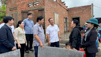 Le secrétaire provincial du Parti, Luong Nguyen Minh Triet, a inspecté les travaux de réparation des dégâts causés par la tempête dans les localités.