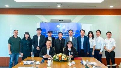 FPT en Vietnam Institute of Educational Sciences lanceren internationale wiskundespeeltuin