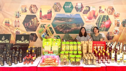 Lam Dong មានផលិតផល OCOP ជាង 900