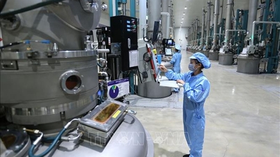 Draft Investment Law (amended): Increasing competitiveness in attracting investment