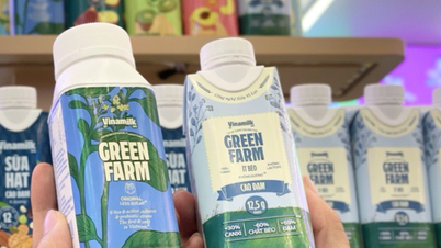 Οι Ταϊλανδοί και Ιάπωνες «καρχαρίες» ξοδεύουν τεράστια χρηματικά ποσά για να αγοράσουν μετοχές βιετναμέζικων επιχειρήσεων: Ποια είναι τα κέρδη και οι ζημίες;