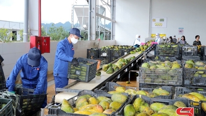 Přilákání investic do odvětví zpracování zemědělských produktů